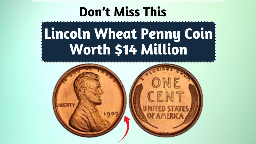 Lincoln Wheat Penny Coin1909 in Your Jar Worth $14 Million