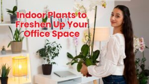 Indoor Plants to Freshen Up Your Office Space
