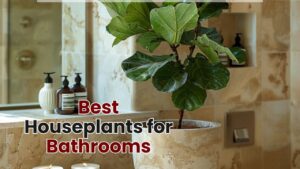 Best Houseplants for Bathrooms
