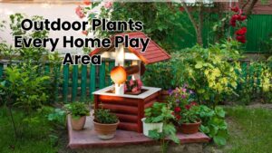 Outdoor Plants Every Home Play Area